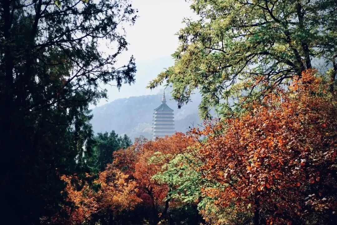 Badachu Park.jpg Badachu Park.jpg