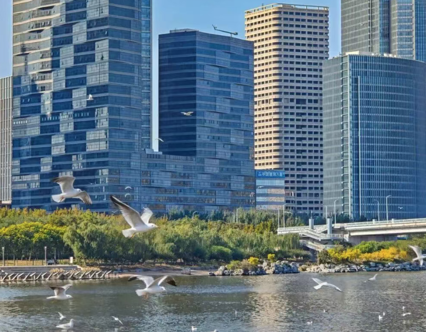 天津5.png 天津5.png