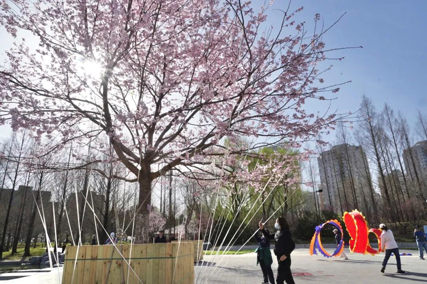 图片.png 图片.png