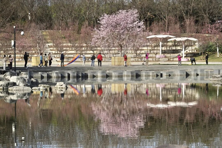 图片.png 图片.png