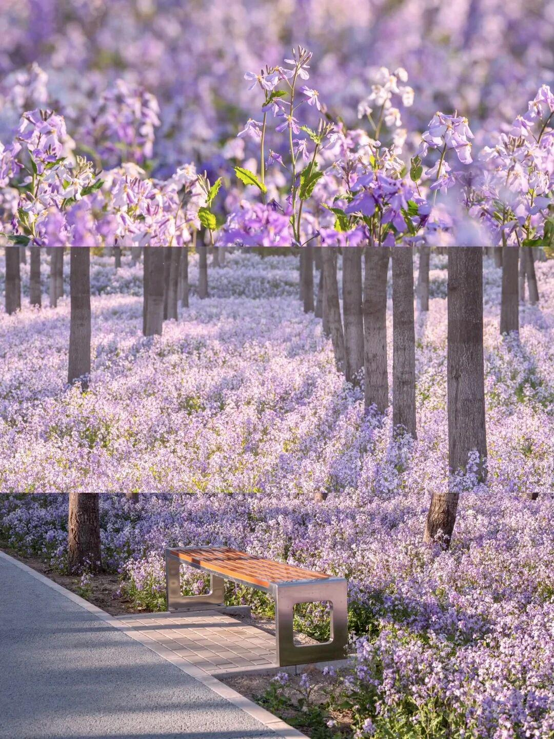 图片.png 图片.png