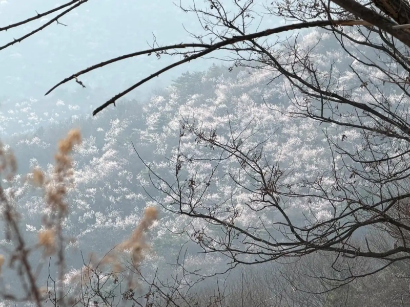 北京日报 正文800.jpg 北京日报 正文800.jpg