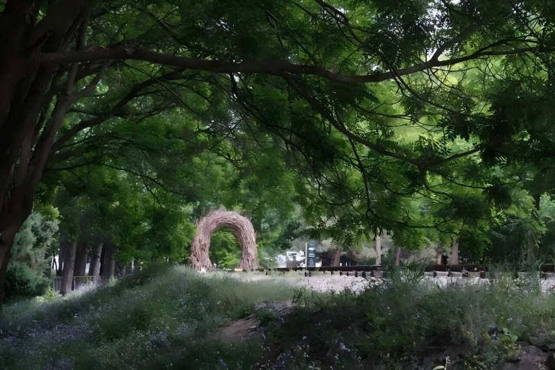 将府公园2.jpg 将府公园2.jpg