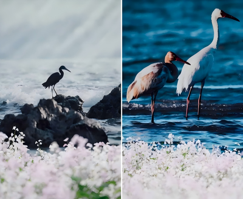 将府公园3.png 将府公园3.png