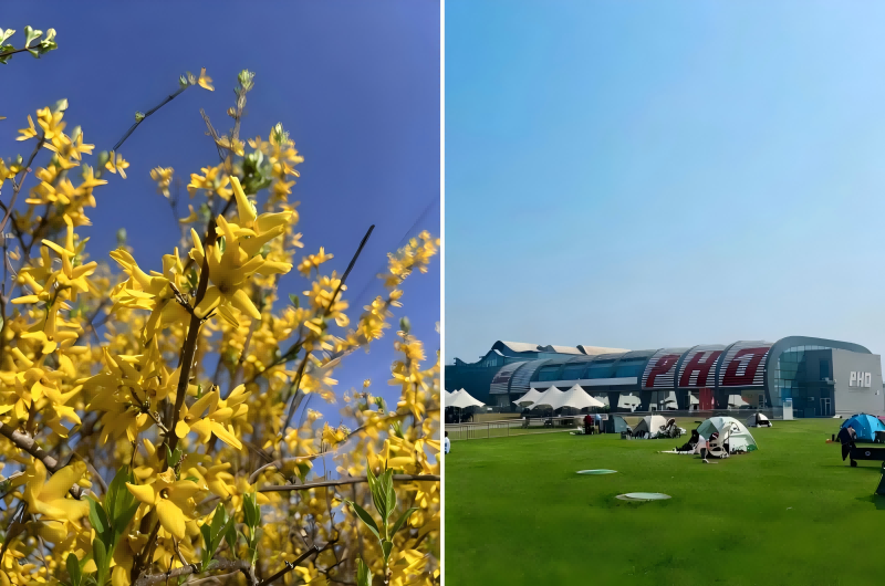 汉石桥湿地公园2.png 汉石桥湿地公园2.png