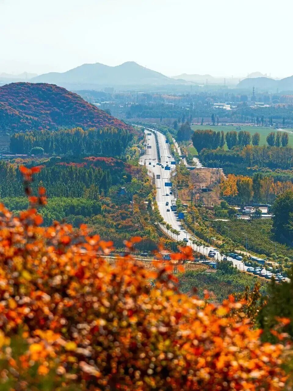 Wucai Qianshan640.png