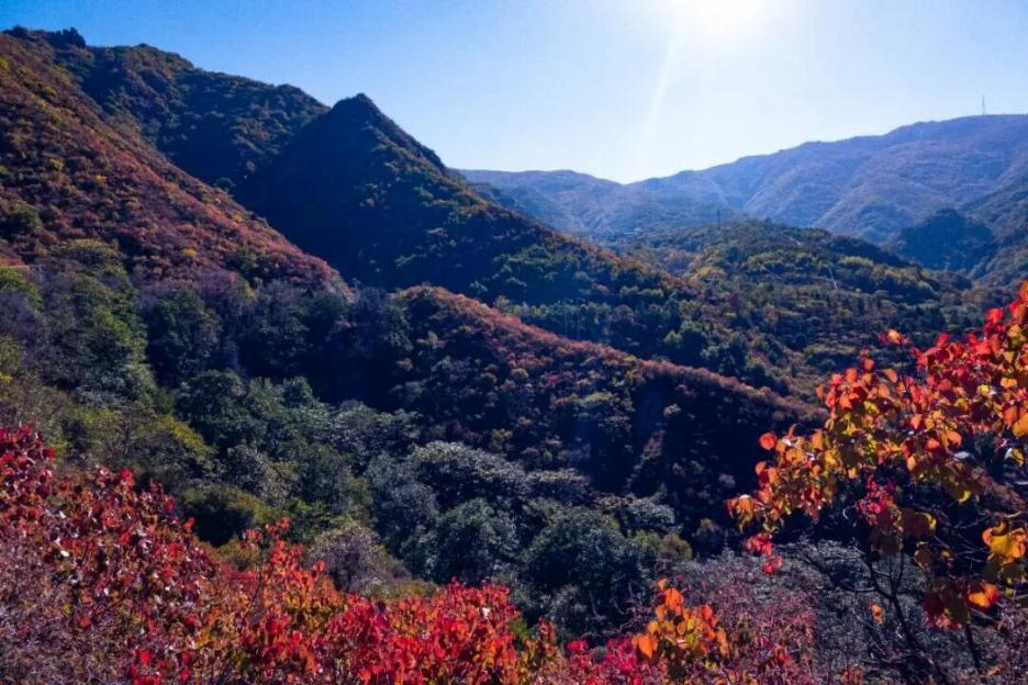 百花山.png 百花山.png