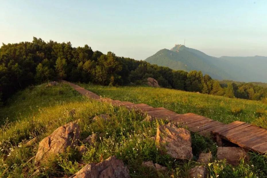 百花山3.png 百花山3.png