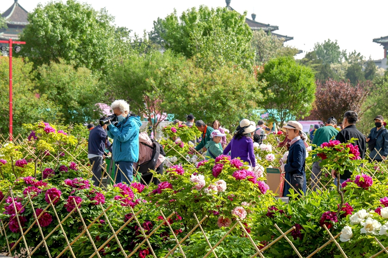 W020250425538212014511.jpg W020250425538212014511.jpg