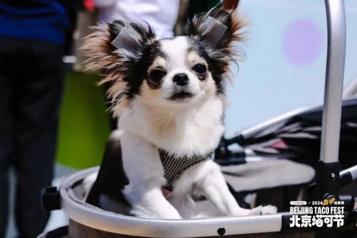 图片12.png 图片12.png