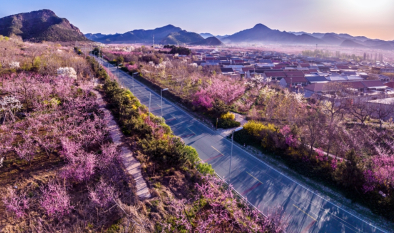 正文800.jpg 正文800.jpg