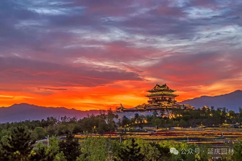 正文1 北京世园国际旅游度假区800.png