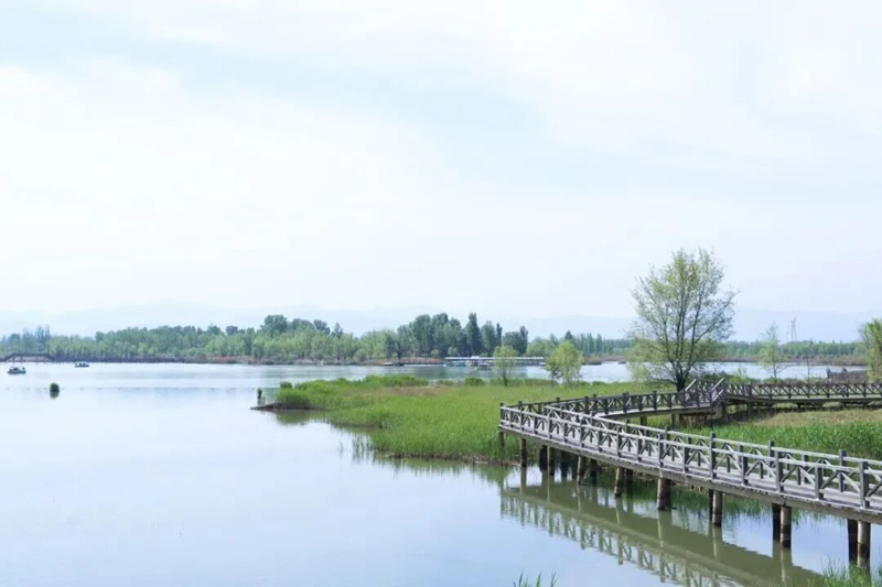 正文8 野鸭湖湿地公园800.png