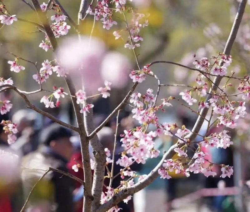 图片2 北京日报.jpg