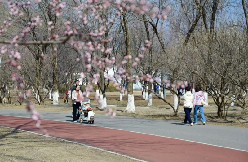 图片2.png 图片2.png