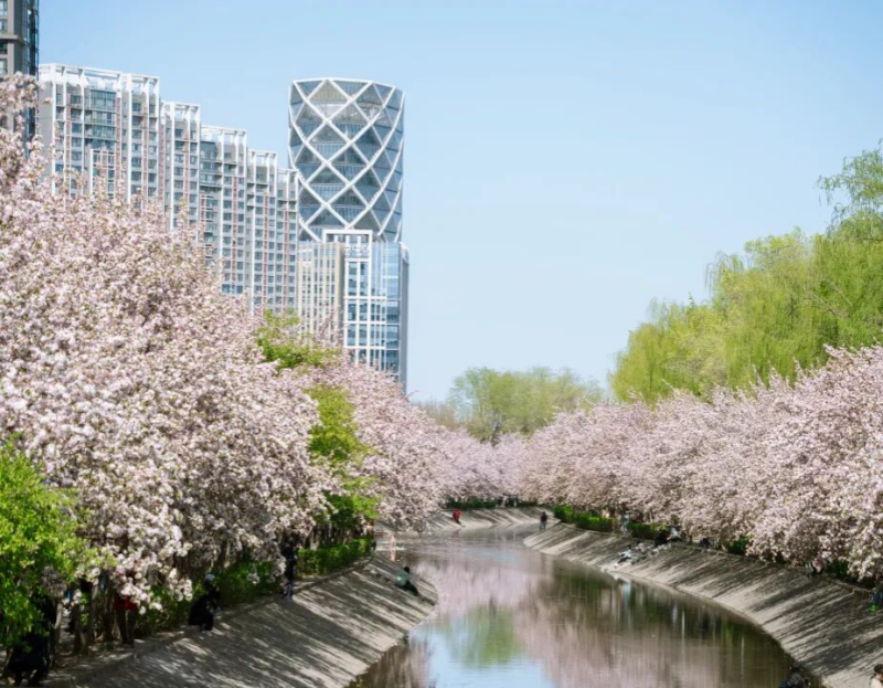 图片8.png 图片8.png